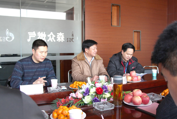 林口县政府与新利公司网址-新利(中国)燃气项目洽谈.png